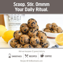 Load image into Gallery viewer, OM Mushroom Chaga Organic Mushroom Powder