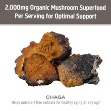 Load image into Gallery viewer, OM Mushroom Chaga Organic Mushroom Powder
