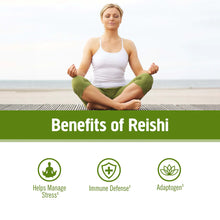 Load image into Gallery viewer, OM Mushroom Reishi Organic Mushroom Powder