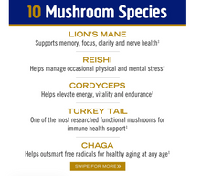 Load image into Gallery viewer, OM Mushroom Master Blend Plant‑Based Protein - Creamy Vanilla