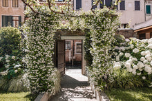 Load image into Gallery viewer, Venezia 1920 - Instant Lifting Serum – 30 ml