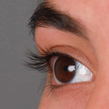 Load image into Gallery viewer, Chella deluxe lash curl kit