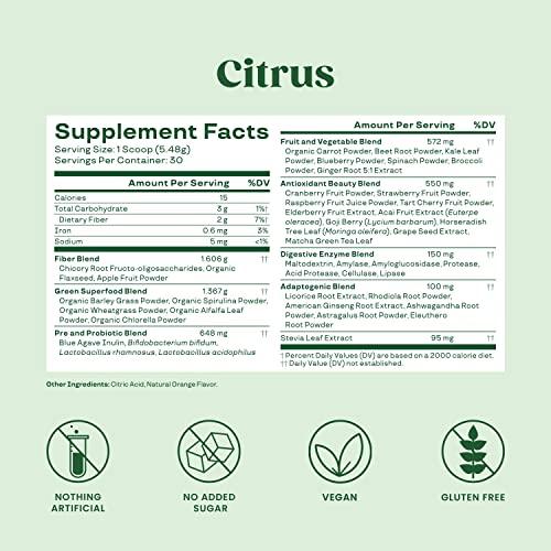 Bloom Organic Super Greens Powder Juice & Smoothie Mix