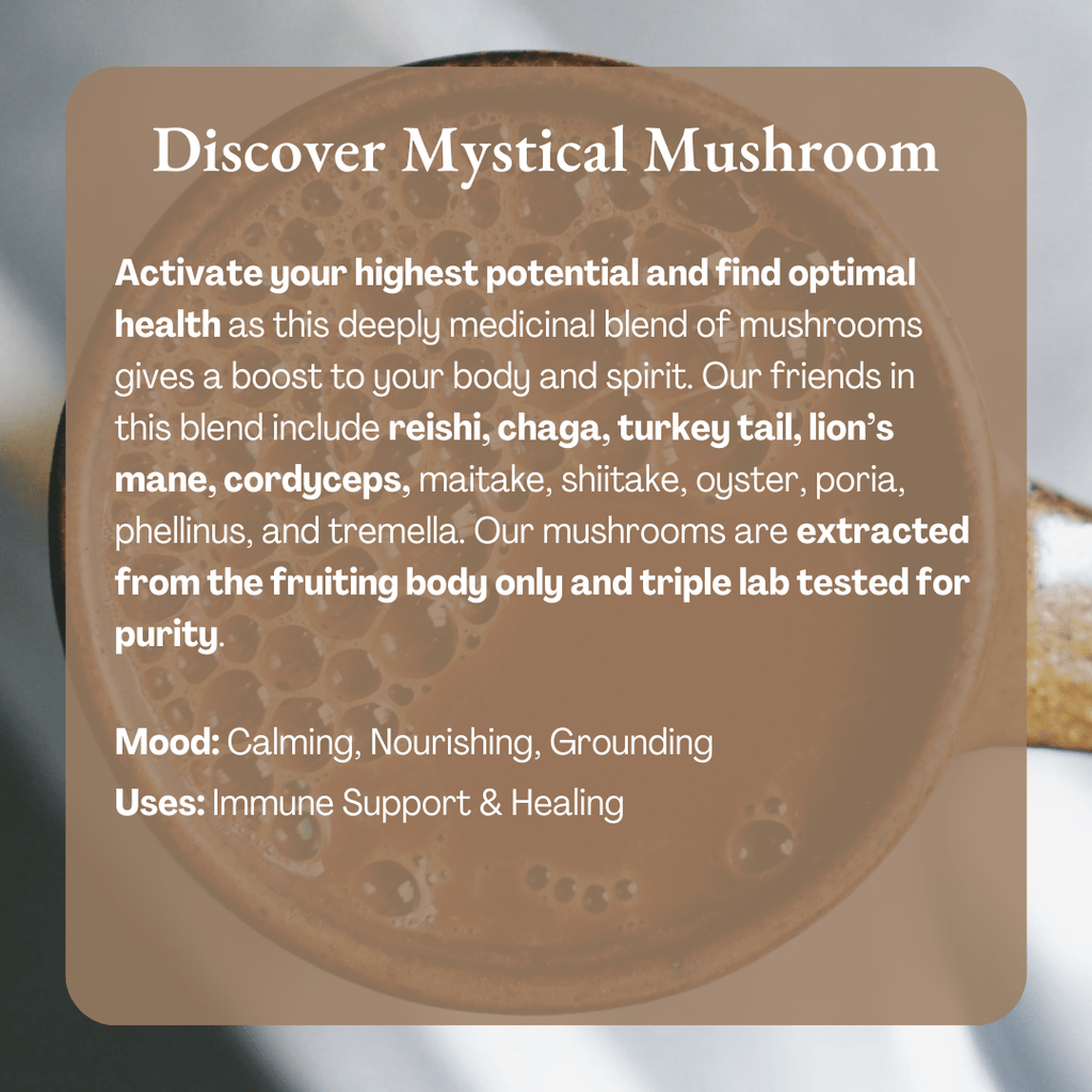 Ora Cacao Mystical Mushroom