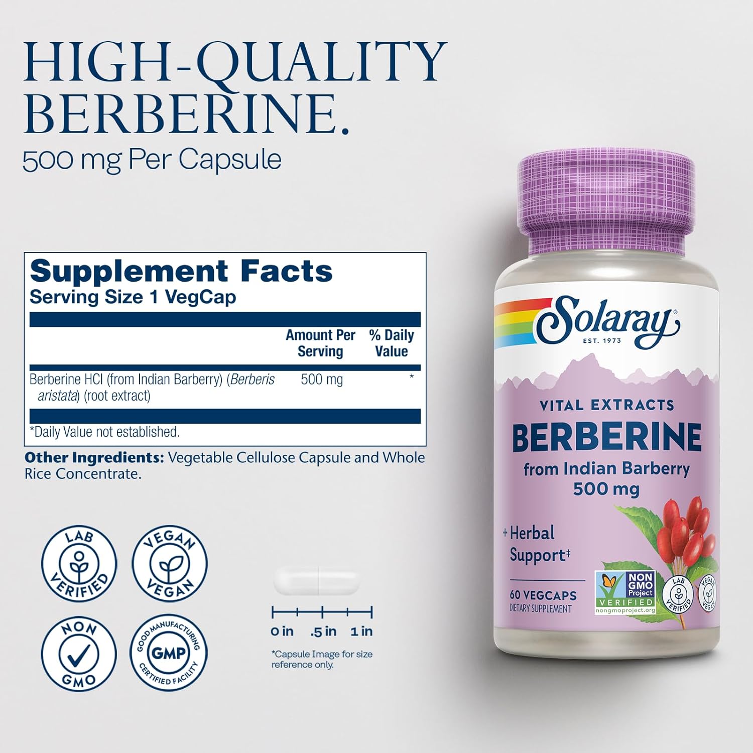 SOLARAY Berberine 500mg - with Berberine HCl from Indian Barberry - Vegan, Non-GMO, 60-Day Guarantee - 60 Servings, 60 VegCaps (60 CT)