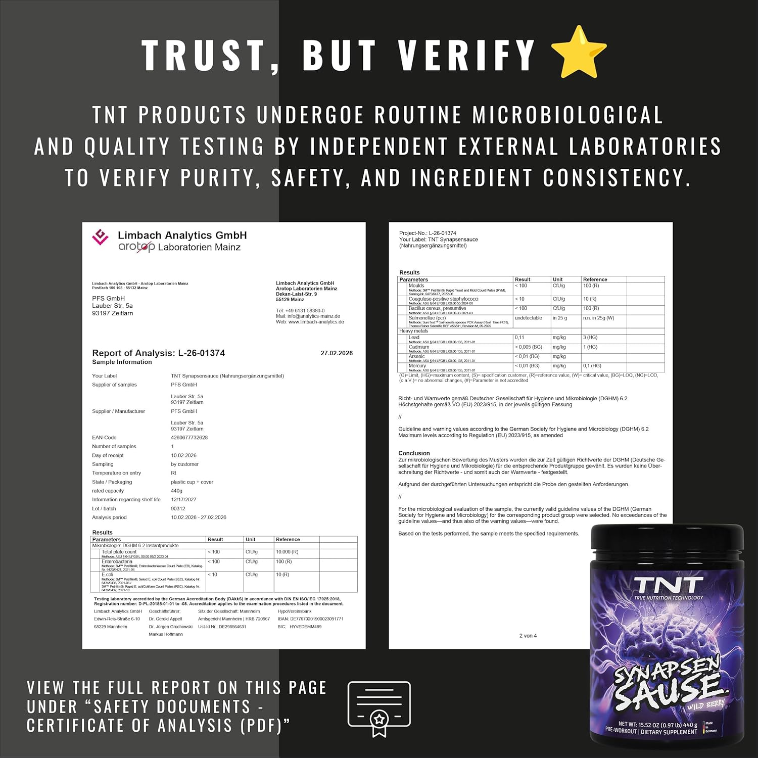 TNT Synapsensause "Wild Berry" (440 g) - Pre-Workout Booster - Fitness & Bodybuilding - Training Booster with L-Citrulline, Caffeine & Guarana