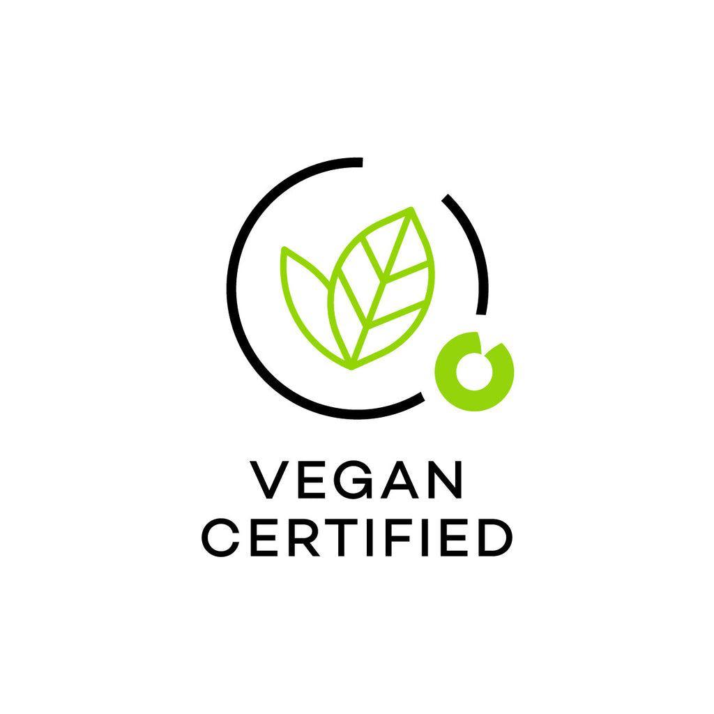 Chella Eyebrow Pencil Kit