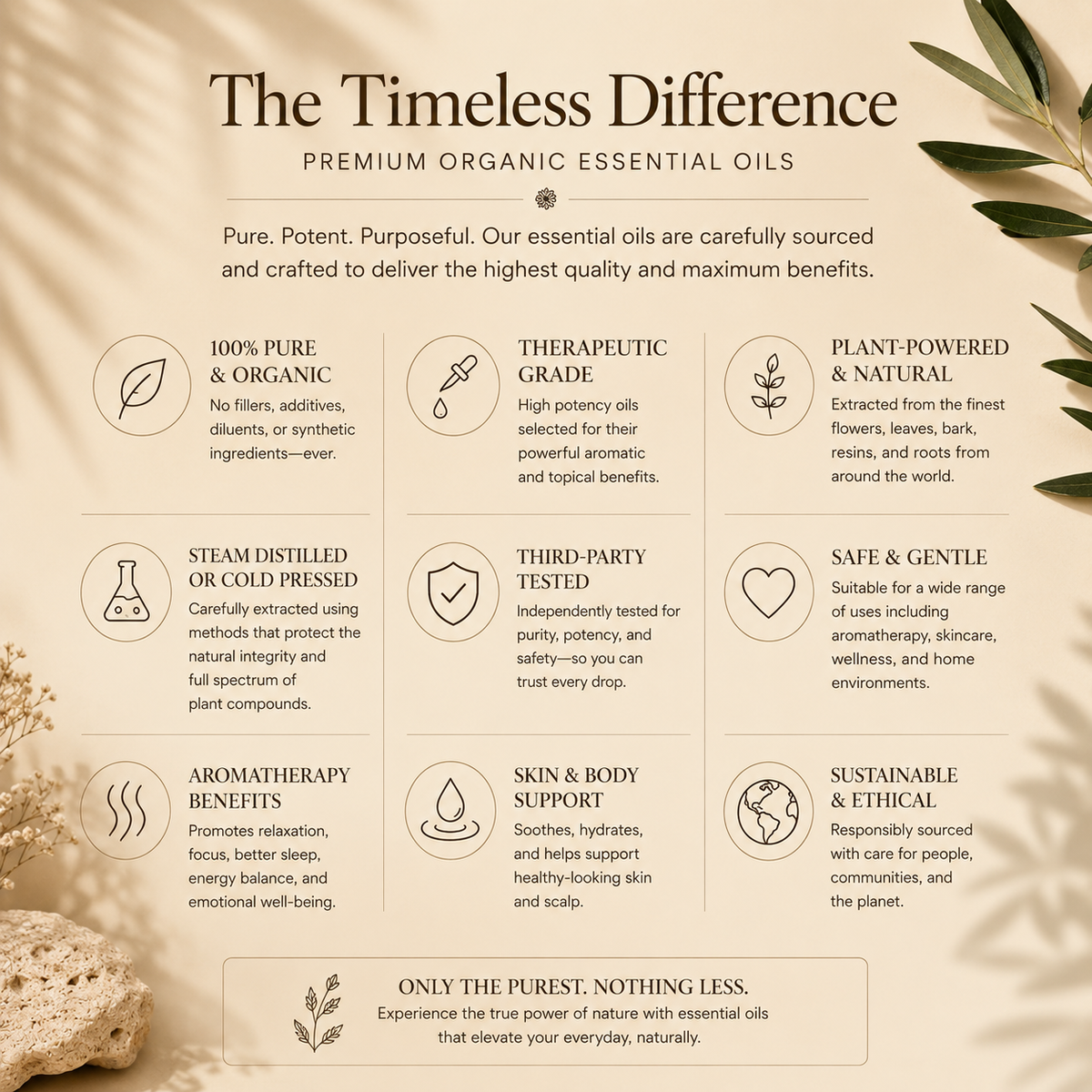 Timeless Organics - Peppermint Essential Oil