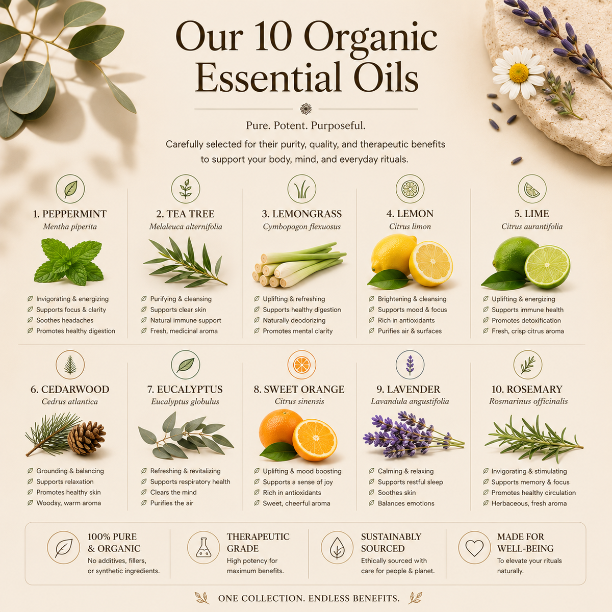 Timeless Organics - Rosemary