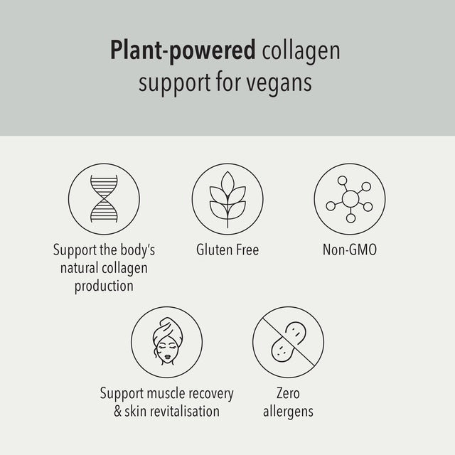 Harvest Table Vegan Protein 550g