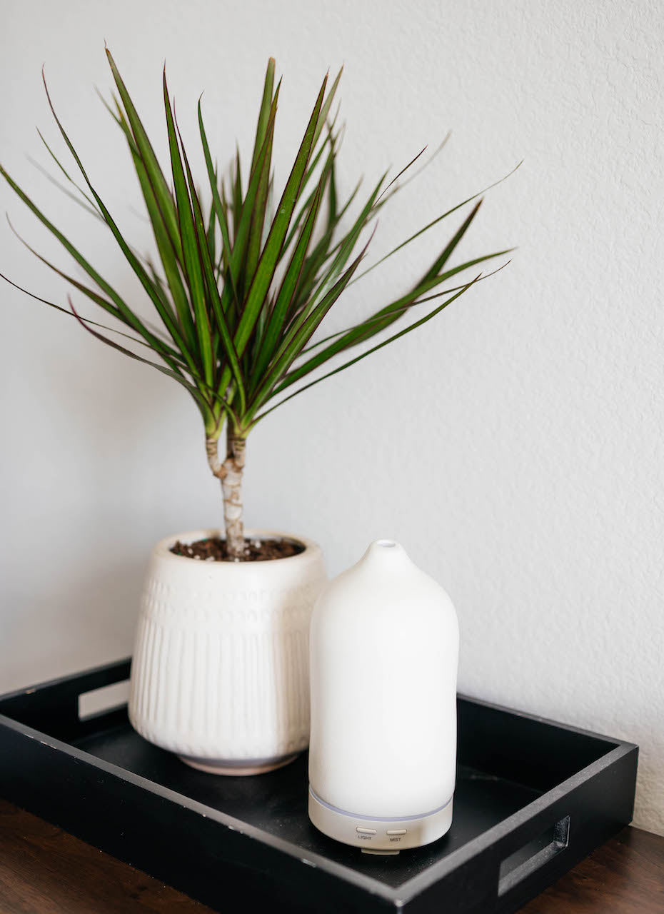 Timeless Organics - Ceramic Diffuser
