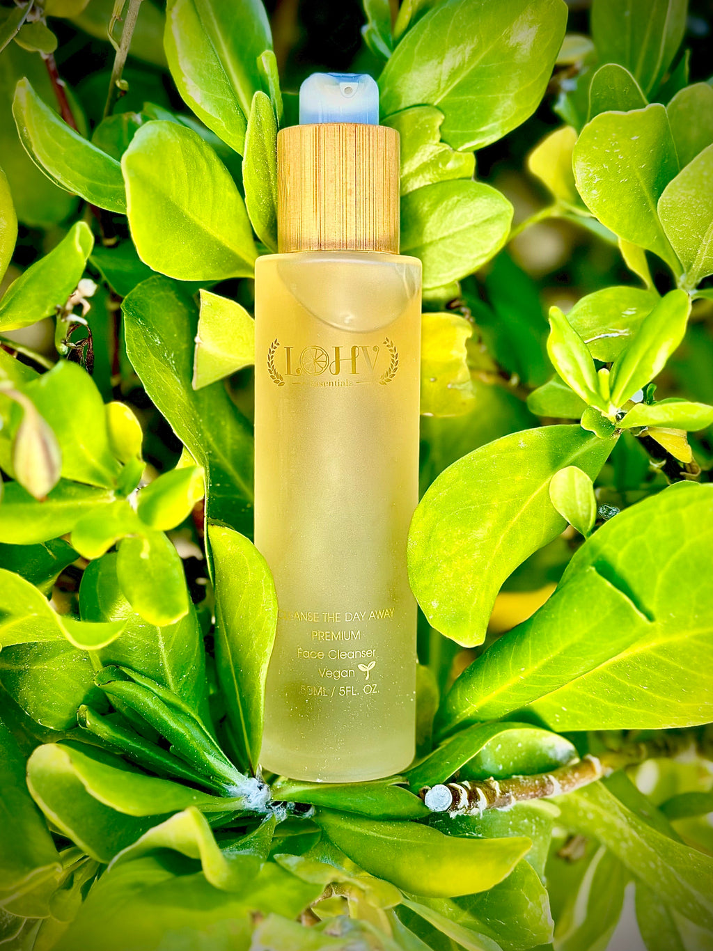 LOHV ESSENTIALS - PREMIUM 100% Vegan Hydrating Facial Cleanser, Moisturizing Face Wash For All Skin Types, Hyaluronic Acid + Ginger Water + Lactic acid + Glycolic acid, Fragrance Free & Paraben Free, Non-Drying Oil Control Face Wash.