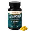 Panstellar - Lactobacillus Reuteri & Gasseri Probiotic | 120 Capsules