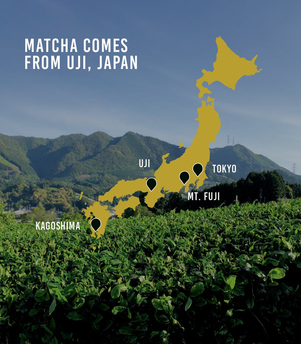 Harney & Sons Fine Teas - Organic Everyday Matcha
