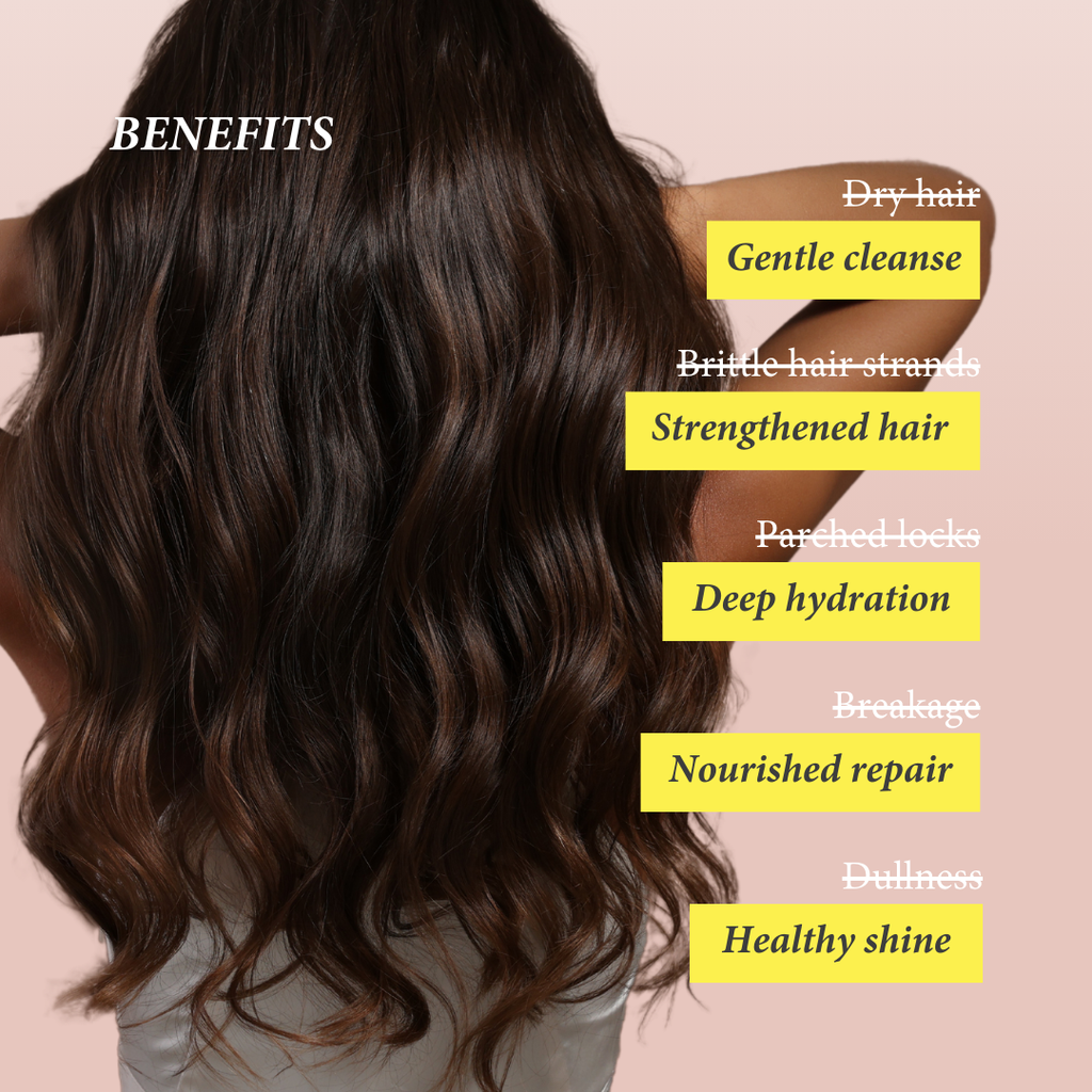 Shearadiance Maximum Moisture Shampoo for Dry, Curly & Natural Hair with Rosemary & Peppermint