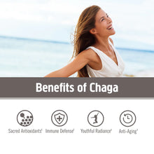 Load image into Gallery viewer, OM Mushroom Chaga Organic Mushroom Powder