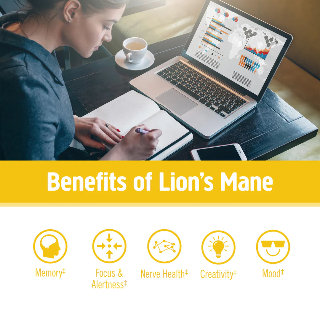 OM Mushroom Lion’s Mane Organic Mushroom Powder