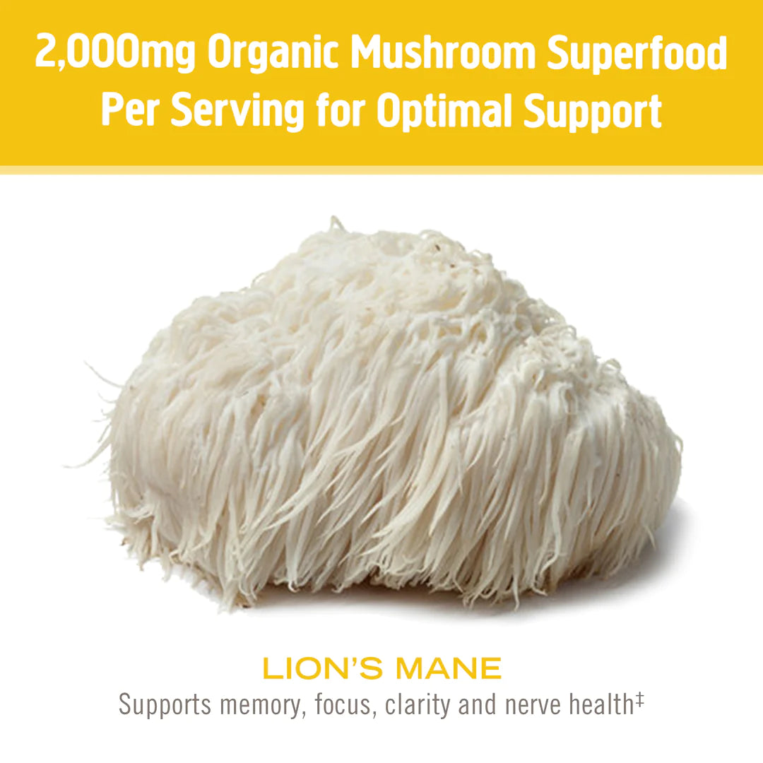 OM Mushroom Lion’s Mane Organic Mushroom Powder