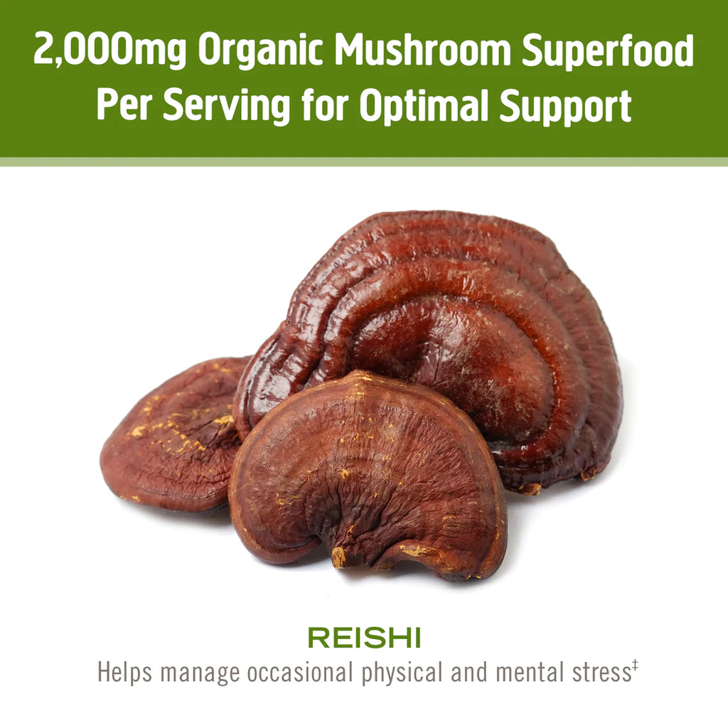 OM Mushroom Reishi Organic Mushroom Powder