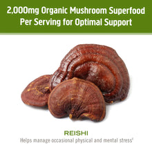 Load image into Gallery viewer, OM Mushroom Reishi Organic Mushroom Powder