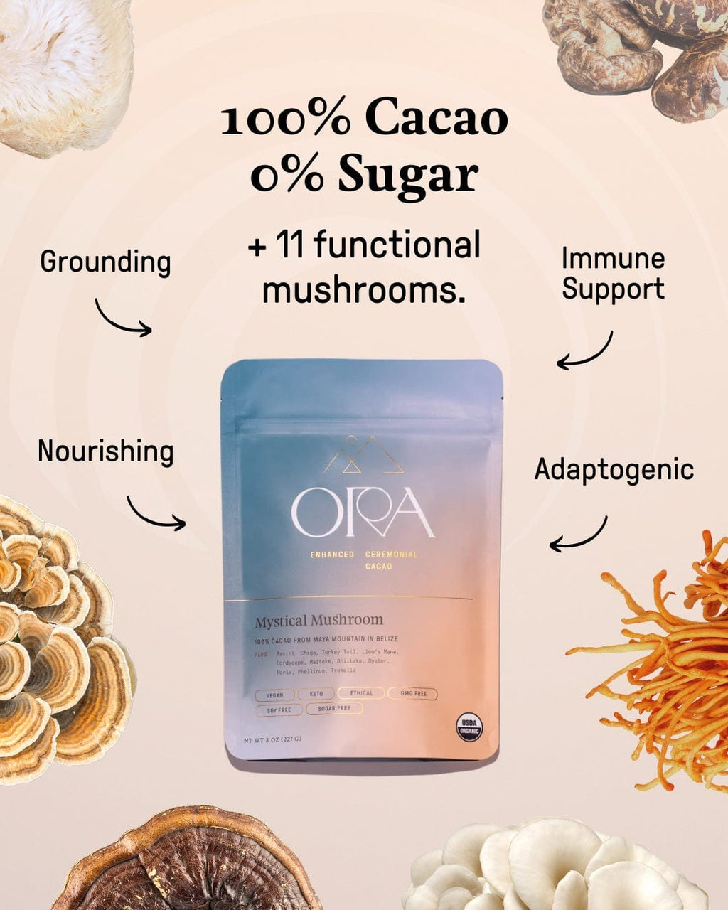 Ora Cacao Mystical Mushroom