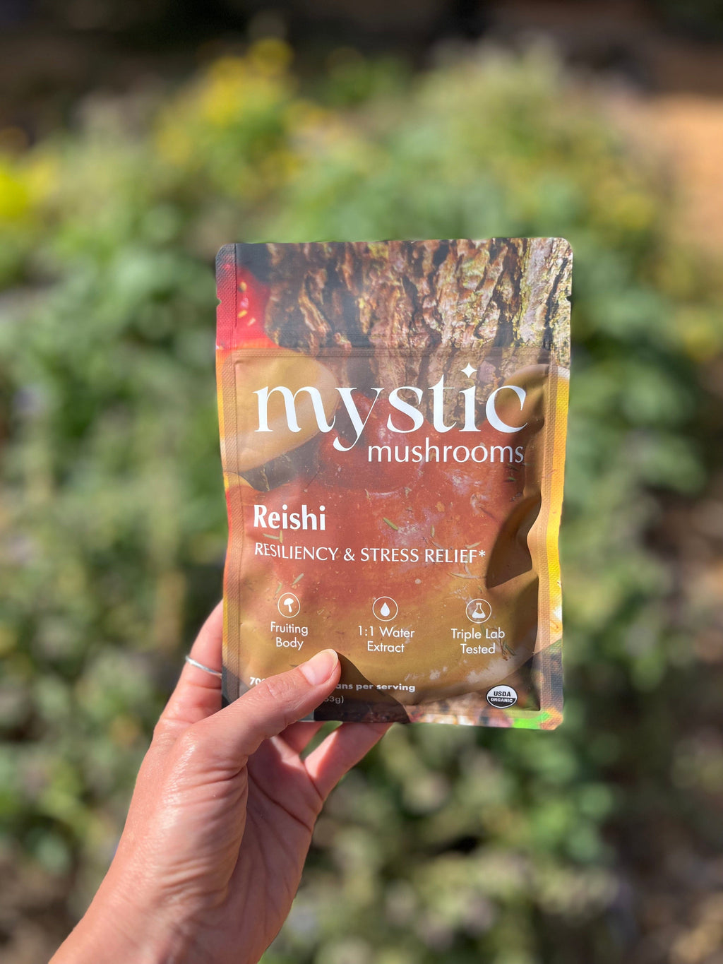 Ora Cacao Reishi