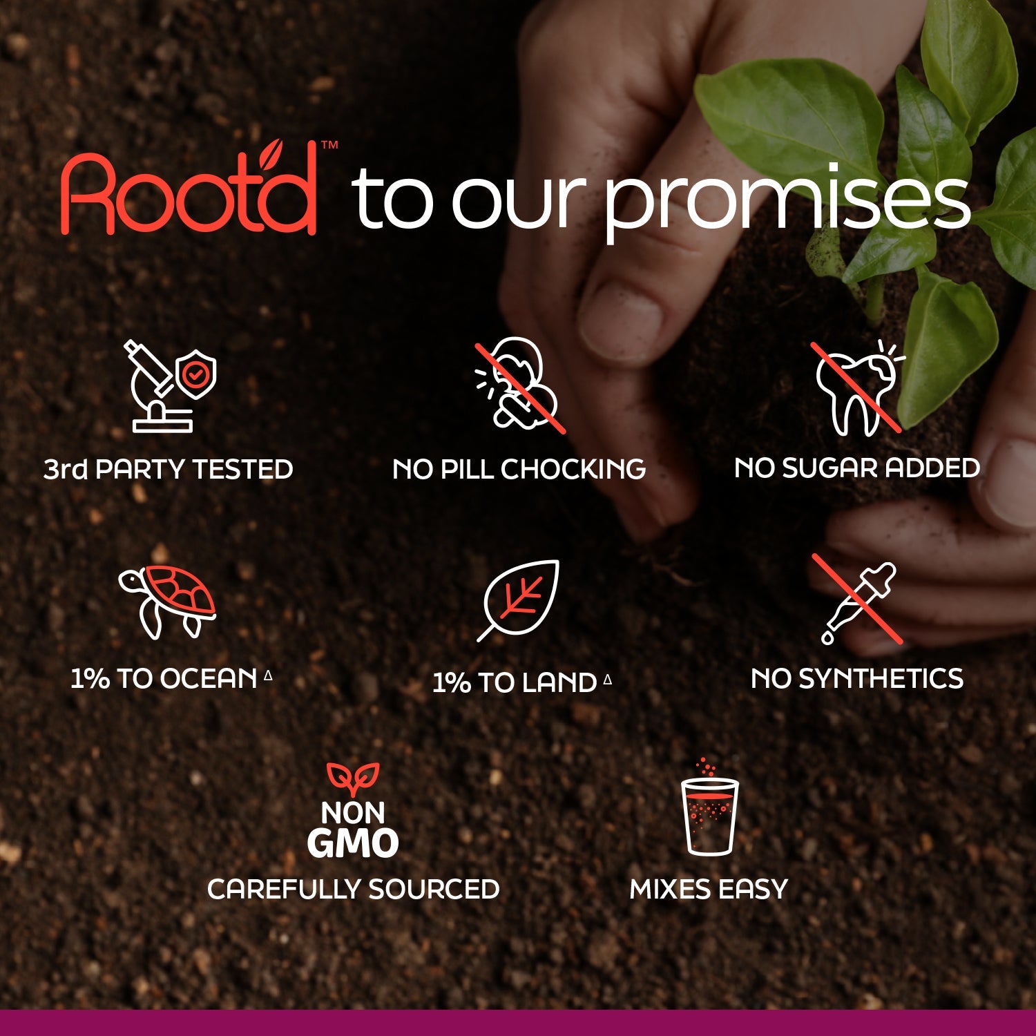 Root'd Couples’ Wellness Pack - The Hydrating Multivitamin - For Her & Him