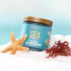 Mielle Organics Sea Moss Gel Hair Masque