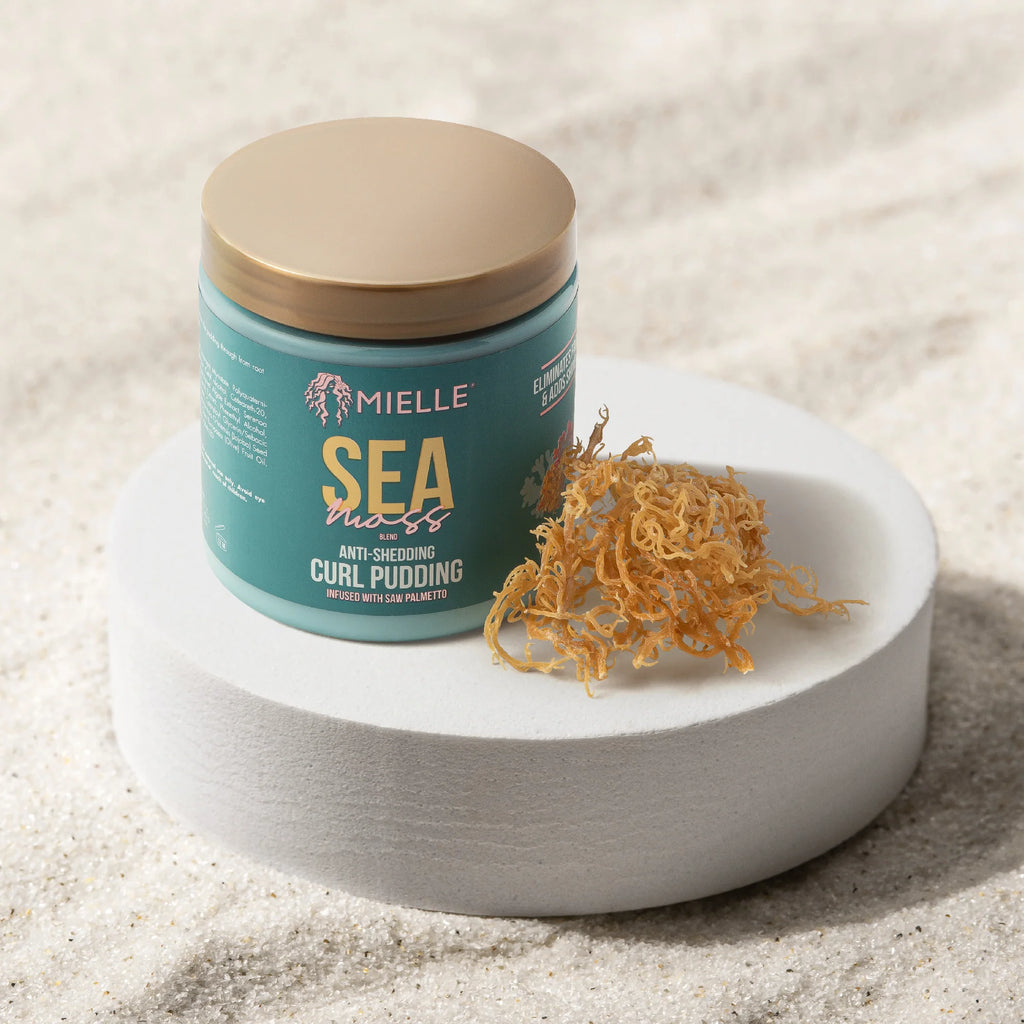 Mielle Organics Sea Moss Curl Pudding