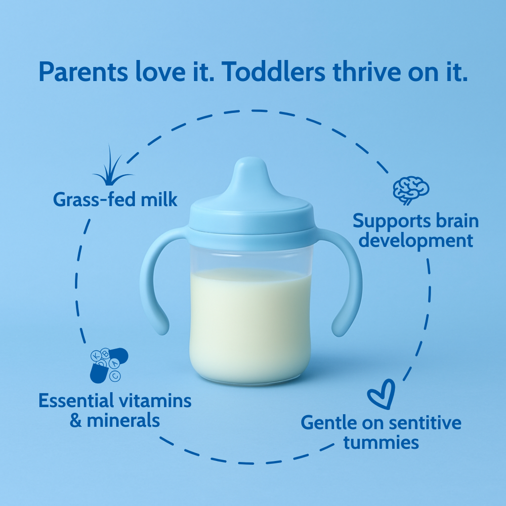 Holle Cow Milk Toddler Drink - Stage 3 | Non GMO (14 oz)