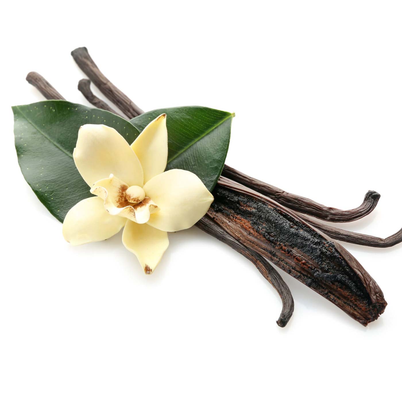 Reztart - Protein and Fiber-Rich Powder Shake with NGC®, Vanilla Flavor