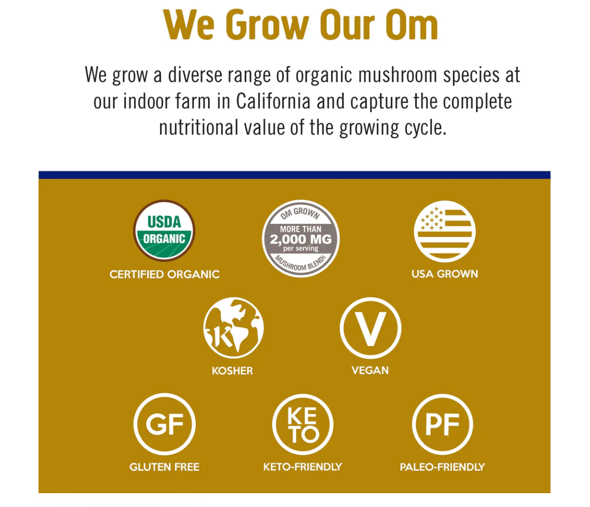 OM Mushroom Master Blend Plant‑Based Protein - Creamy Vanilla