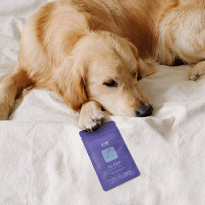 OnMi -Sleep Support Patch -12 pack -A stick-on solution to help you rest easy